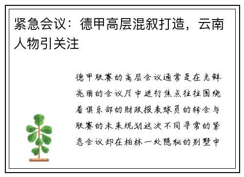 紧急会议：德甲高层混叙打造，云南人物引关注